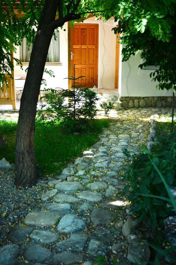 Casa De Oaspeti Adorabila Aproape De Natura Sărata-Monteoru Εξωτερικό φωτογραφία